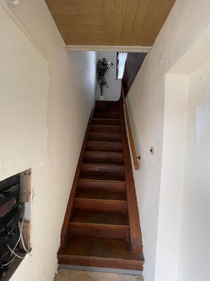 Bollgarten Apartment 8 ケルン エクステリア 写真